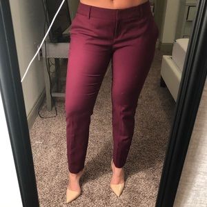 Express Columnist Pant